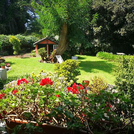 Jardines De Hortensia - Vacation Home Tenerife Сан-Крістобаль-де-ла-Лагуна Екстер'єр фото