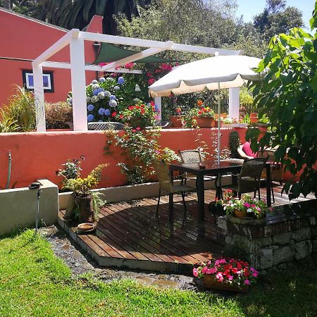 Jardines De Hortensia - Vacation Home Tenerife Сан-Крістобаль-де-ла-Лагуна Екстер'єр фото