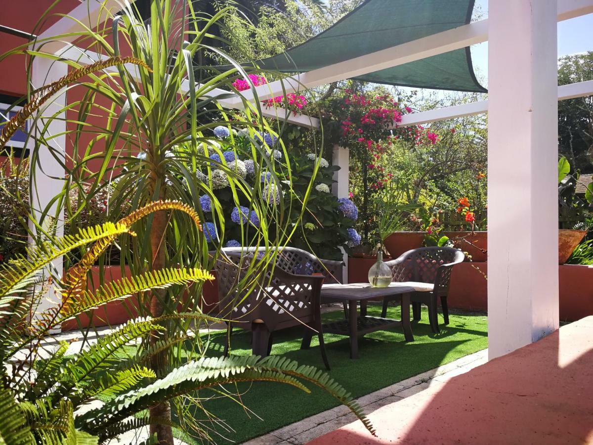 Jardines De Hortensia - Vacation Home Tenerife Сан-Крістобаль-де-ла-Лагуна Екстер'єр фото