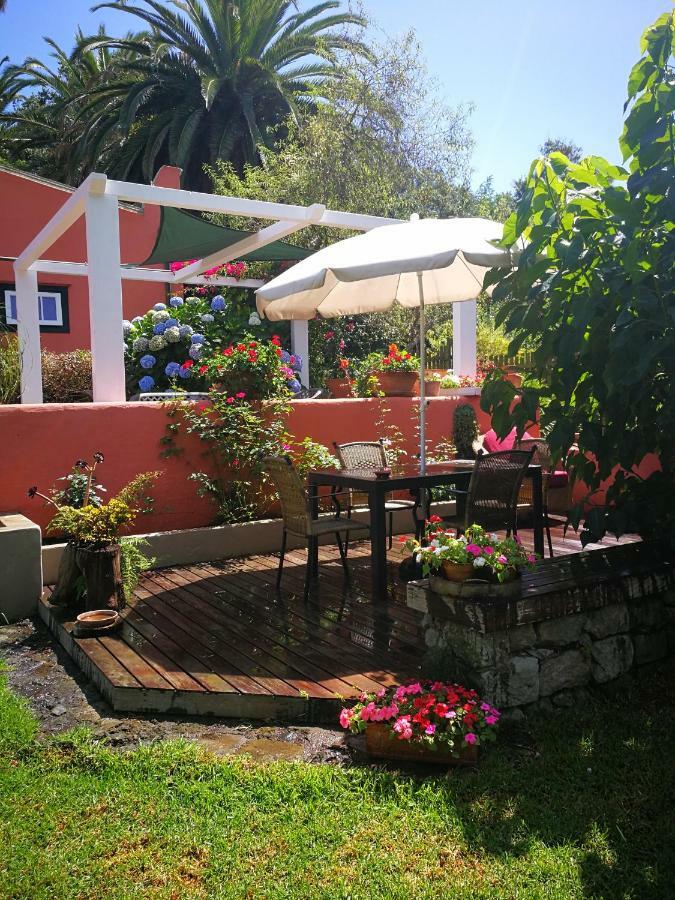 Jardines De Hortensia - Vacation Home Tenerife Сан-Крістобаль-де-ла-Лагуна Екстер'єр фото