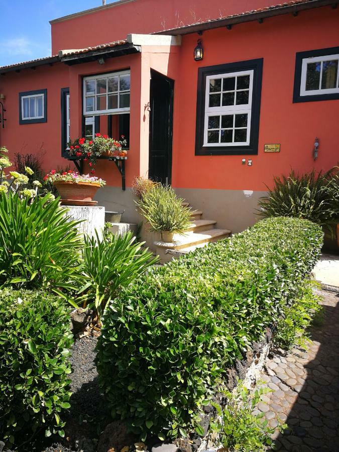 Jardines De Hortensia - Vacation Home Tenerife Сан-Крістобаль-де-ла-Лагуна Екстер'єр фото